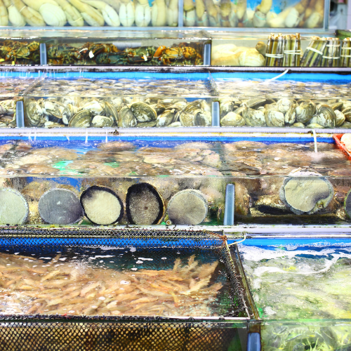 Pesce Fresco e Crostacei Freschi